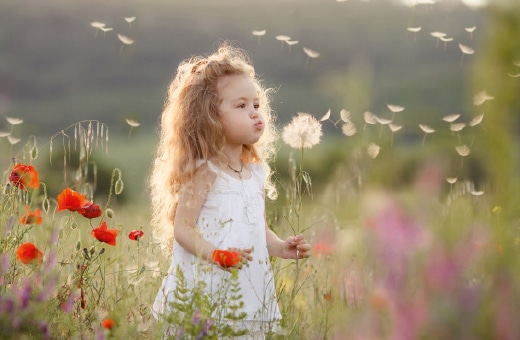 Ein kleines Mädchen pustet die Samen einer Pusteblume auf einer bunten Blumenwiese in die Luft