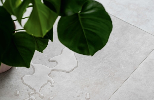 Nahaufnahme von grünen Blättern auf hellem Vinylboden